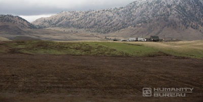 人类办事处剧照的剧照