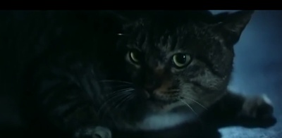 魔胎剧照的剧照