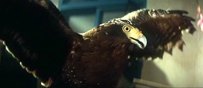 魔胎剧照的剧照