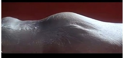 魔胎剧照的剧照