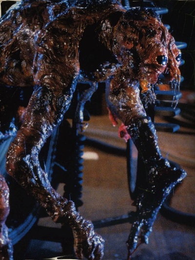 变蝇人剧照的剧照