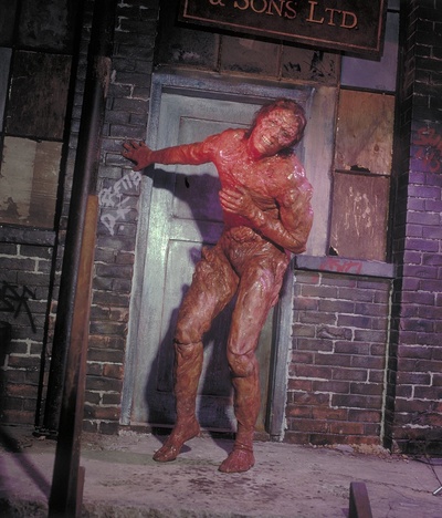 变蝇人剧照的剧照