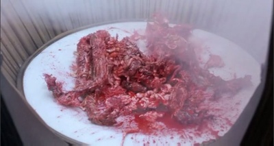 变蝇人剧照的剧照