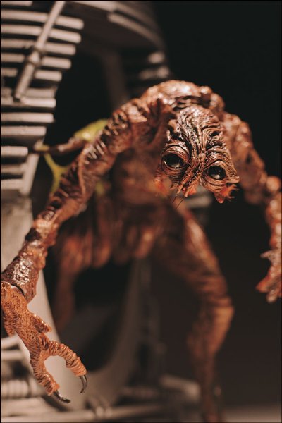 变蝇人剧照的剧照