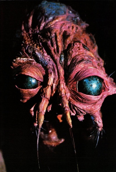 变蝇人剧照的剧照