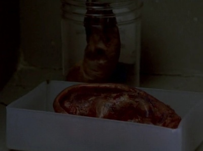 变蝇人剧照的剧照