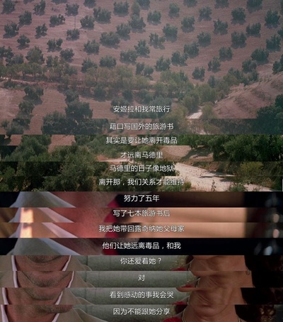 痛苦与荣耀剧照的剧照