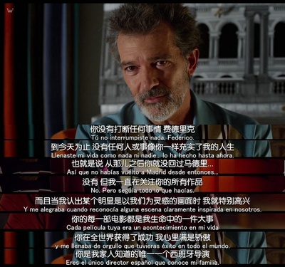 痛苦与荣耀剧照的剧照