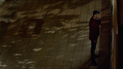 痛苦与荣耀剧照的剧照