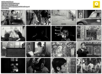 体验剧照的剧照