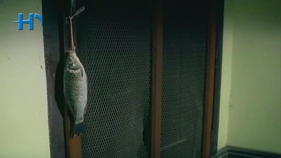 姨妈的后现代生活剧照的剧照