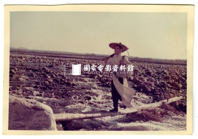 龙门客栈剧照的剧照