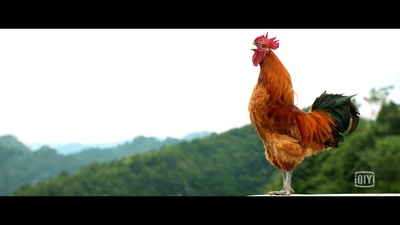 十八洞村剧照的剧照