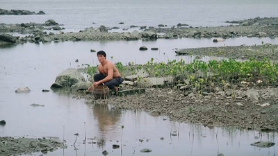 皇家师姐7剧照的剧照