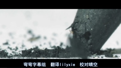 陆地空谷剧照的剧照