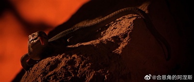 大门剧照的剧照