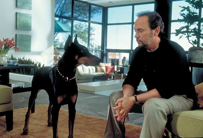 美国甜心剧照的剧照