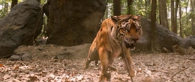 打虎英雄穆卢干剧照的剧照