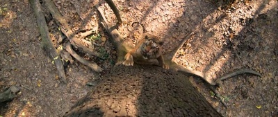 打虎英雄穆卢干剧照的剧照