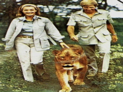 PBS：自然 - 艾尔莎的遗产：生而自由的故事剧照的剧照