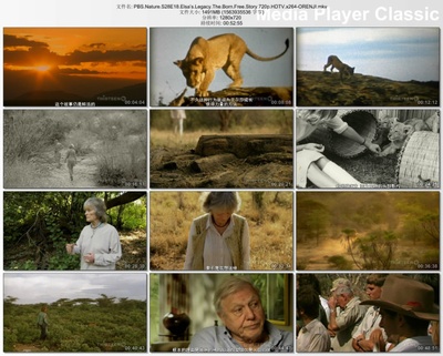 PBS：自然 - 艾尔莎的遗产：生而自由的故事剧照的剧照