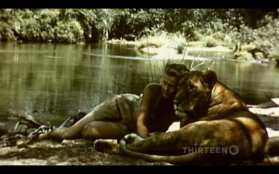 PBS：自然 - 艾尔莎的遗产：生而自由的故事剧照的剧照