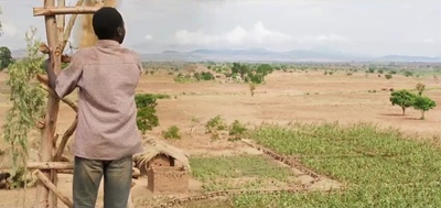 驭风男孩剧照的剧照