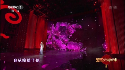 2015年中央电视台元宵晚会剧照的剧照