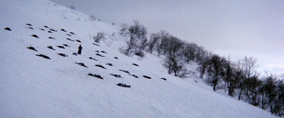 带子雄狼：地狱之行！大五郎！剧照的剧照