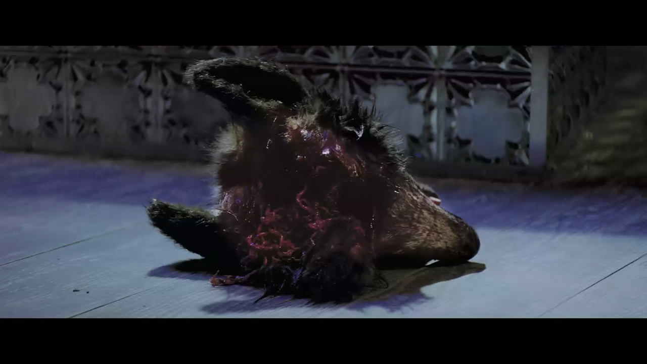 藏品剧照的剧照