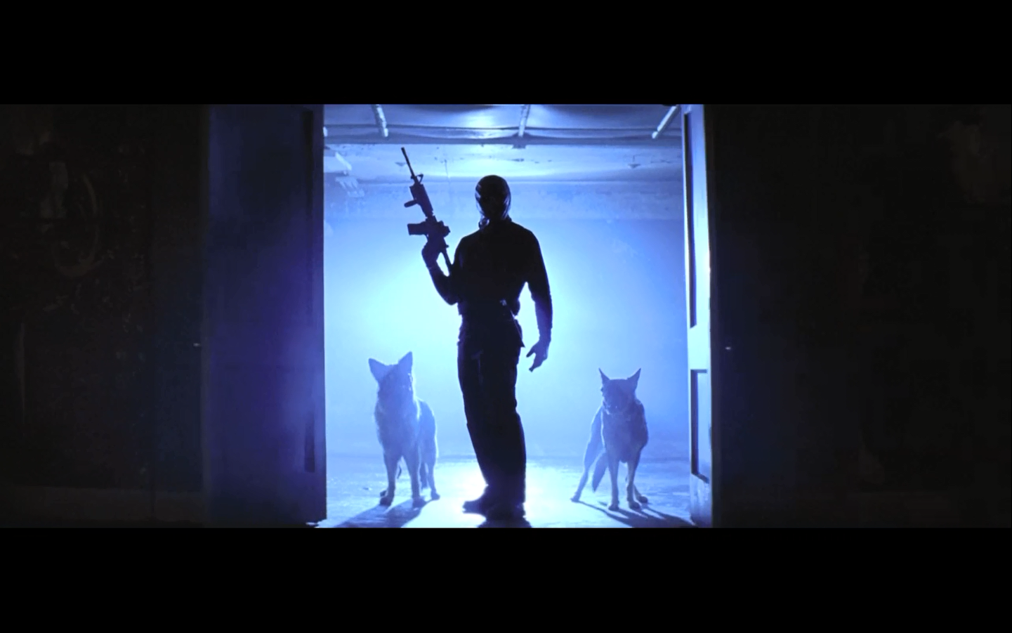 藏品剧照的剧照