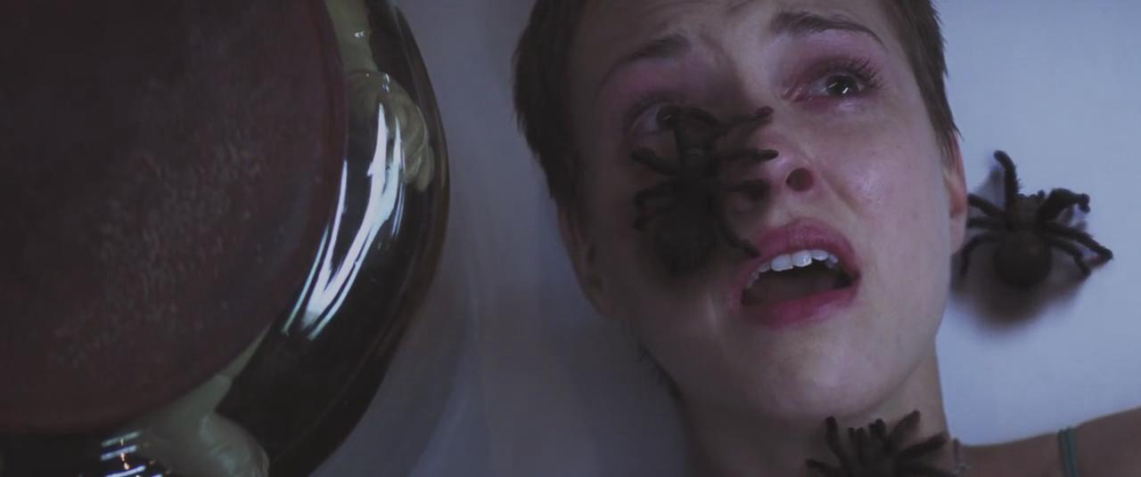 藏品剧照的剧照