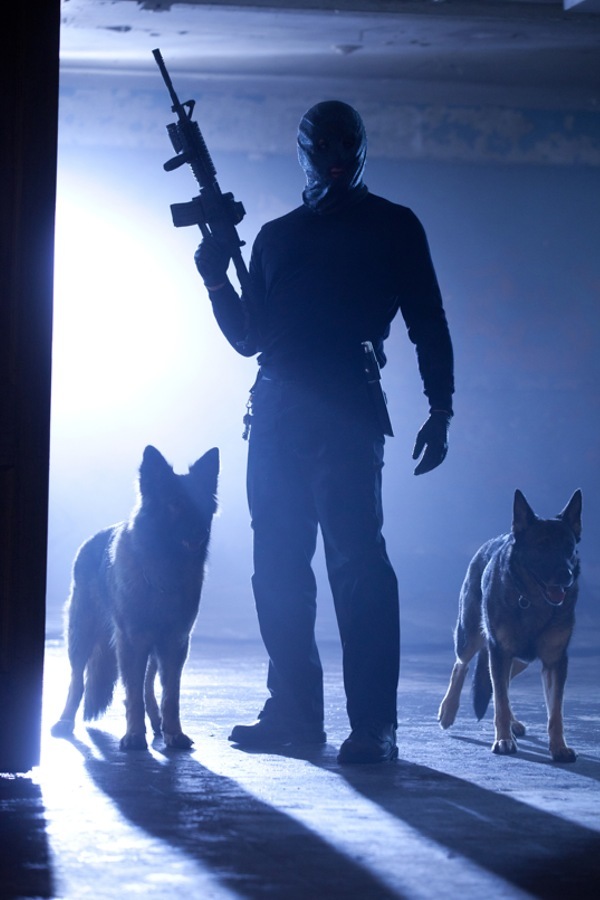 藏品剧照的剧照