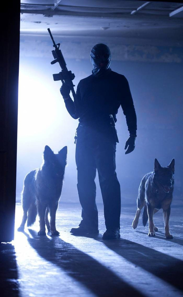 藏品剧照的剧照