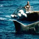 大白鲨大报复剧照