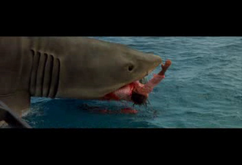大白鲨大报复剧照的剧照