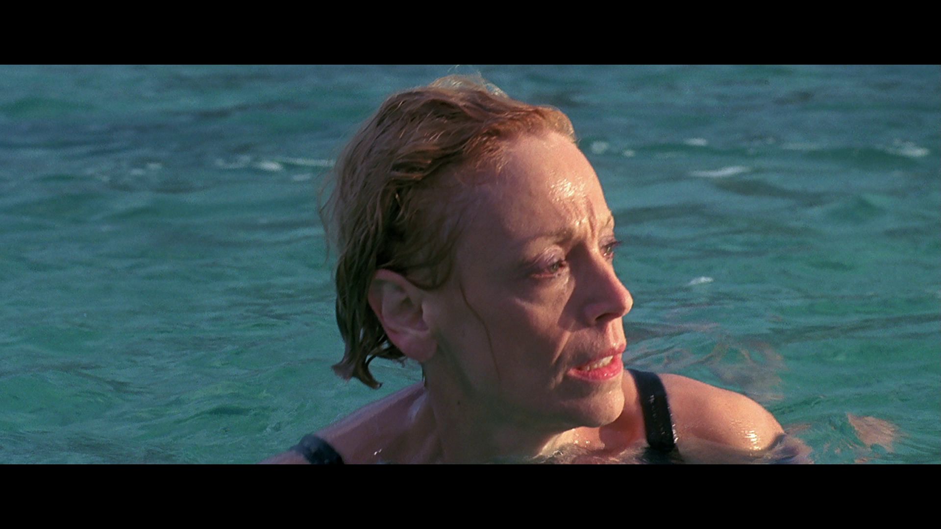 大白鲨大报复剧照的剧照