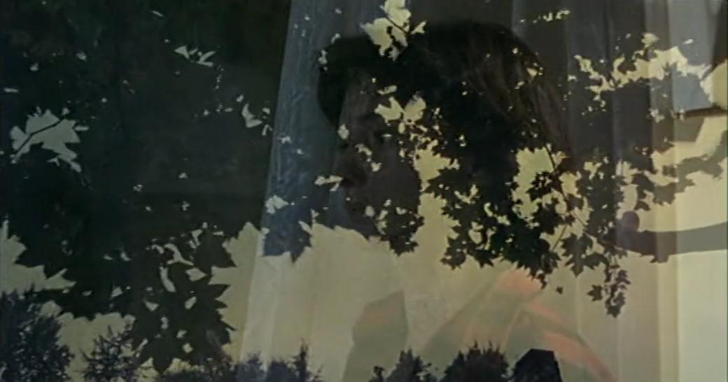 死亡论文剧照的剧照