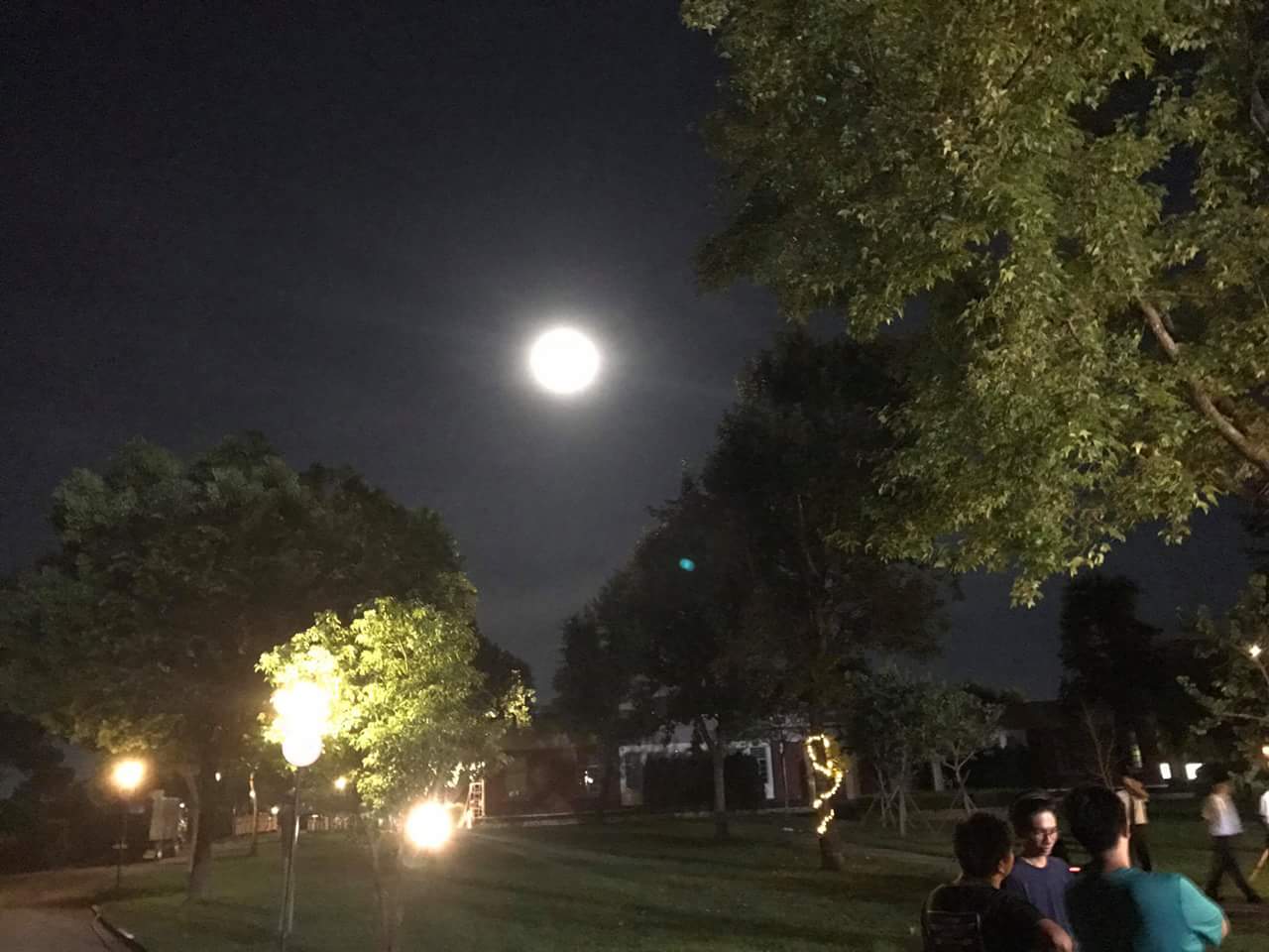 某日某月剧照的剧照