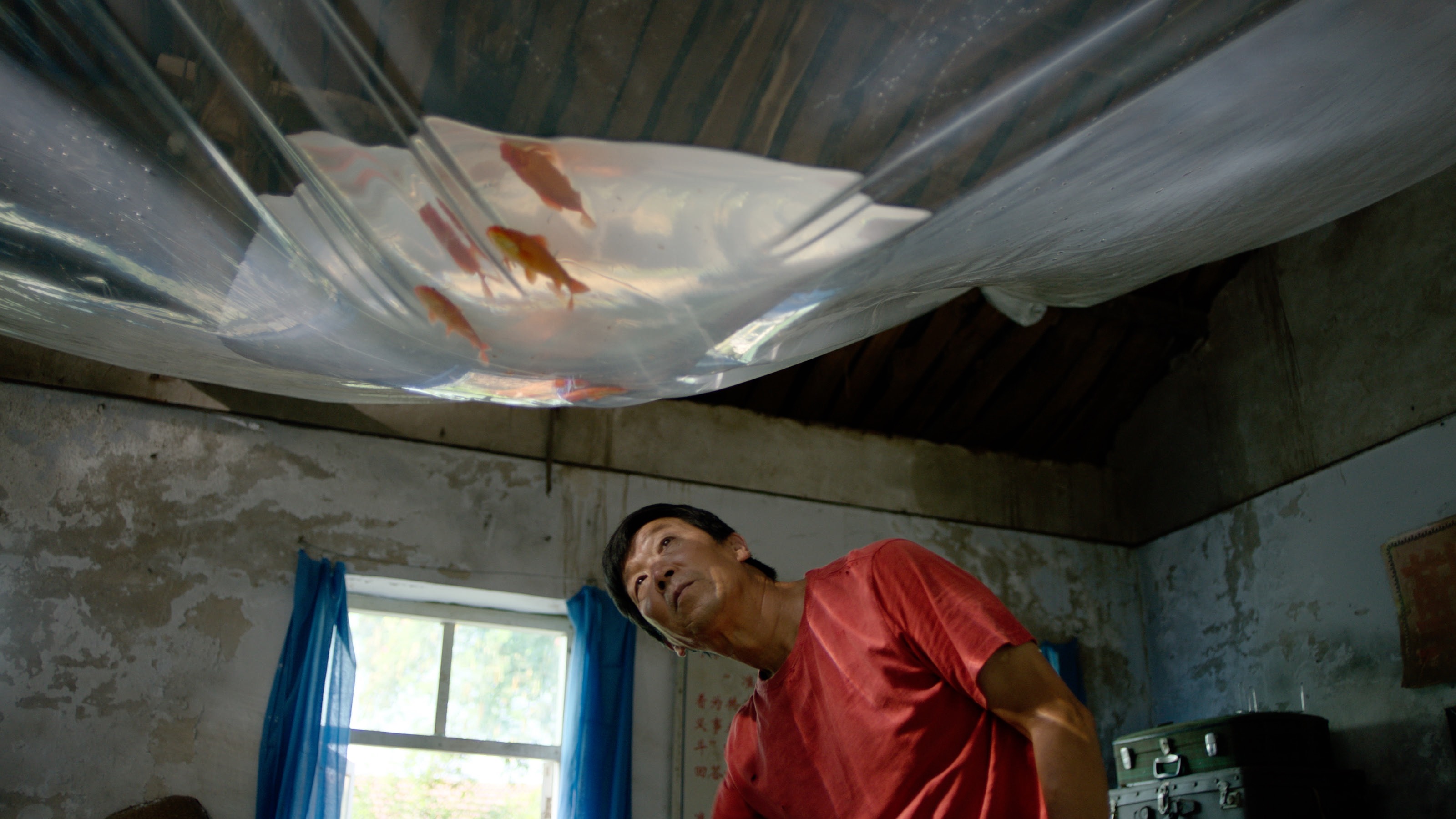 平原上的夏洛克剧照的剧照