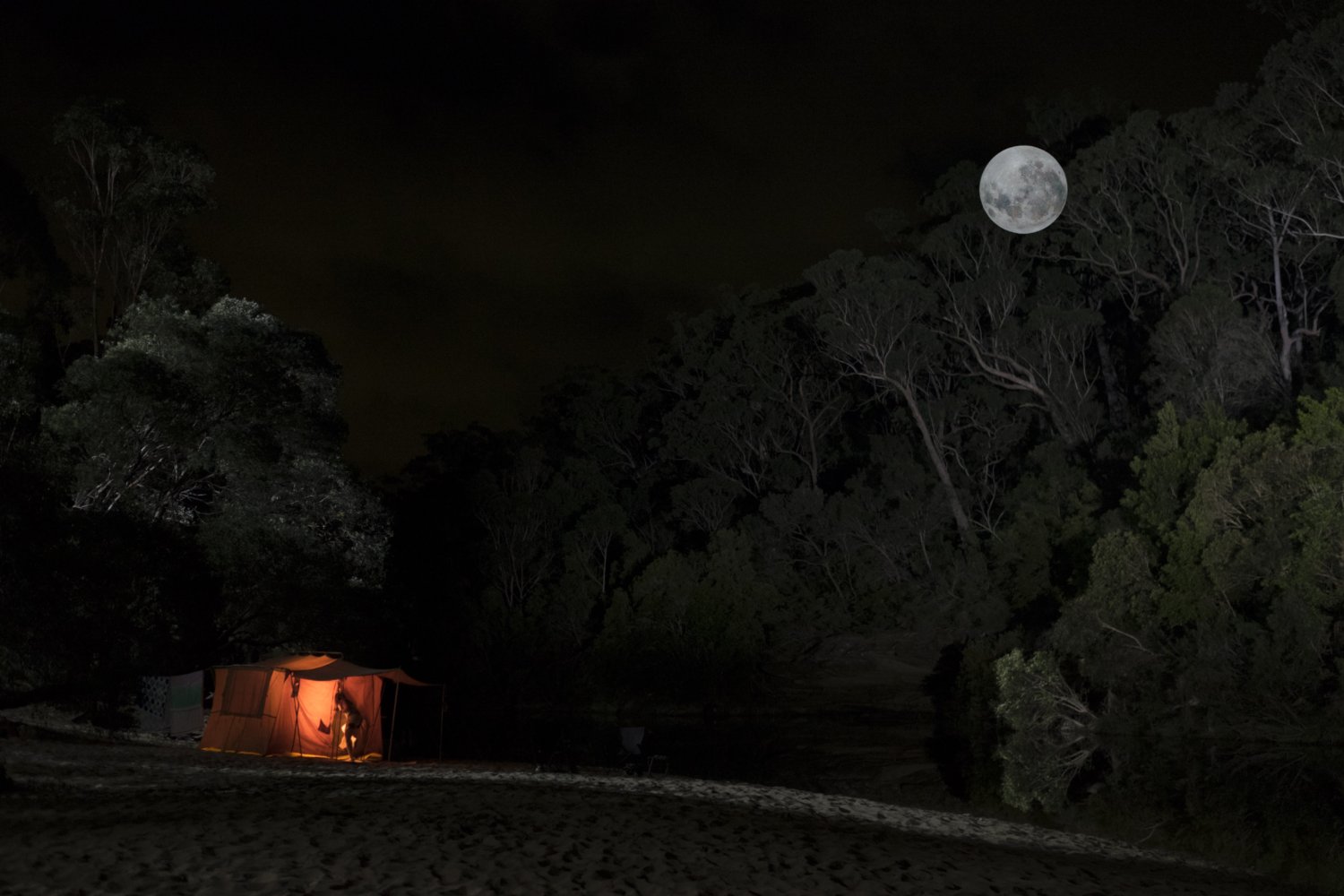 杀戮场剧照的剧照