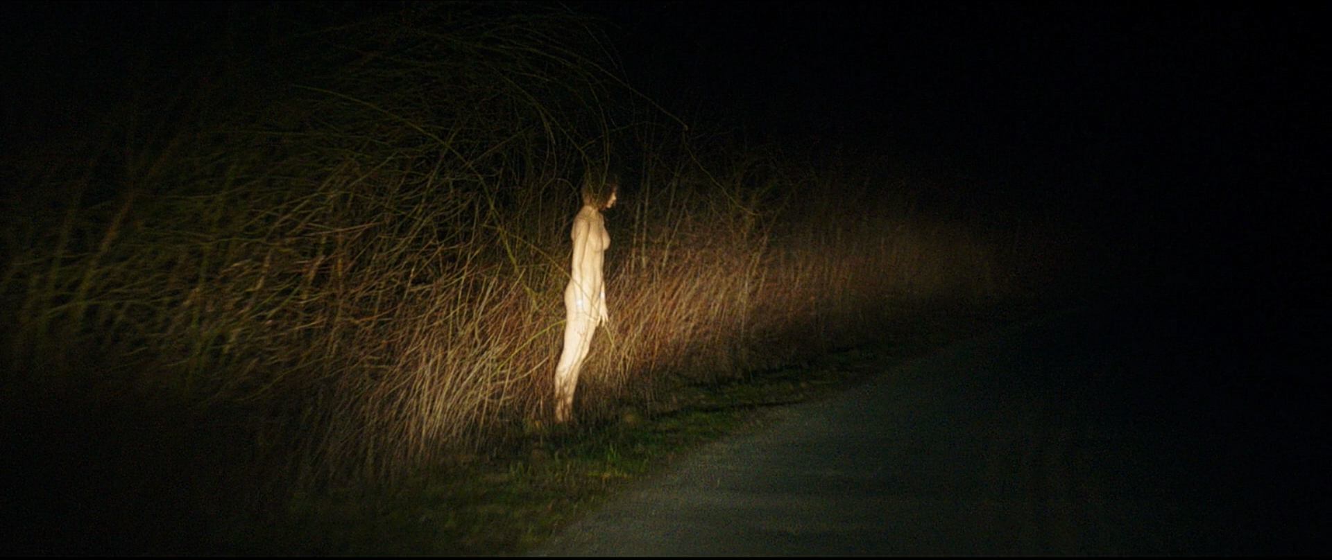 织物剧照的剧照