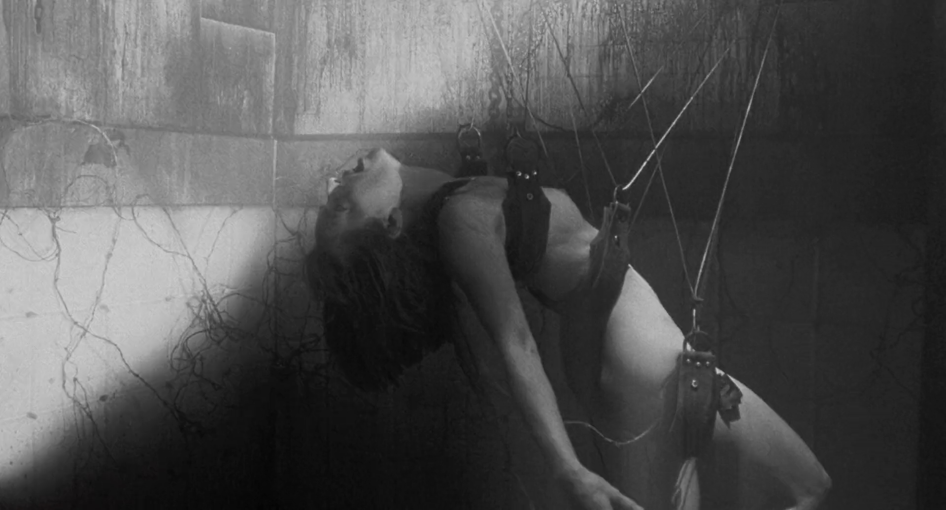 猛鬼屋剧照的剧照