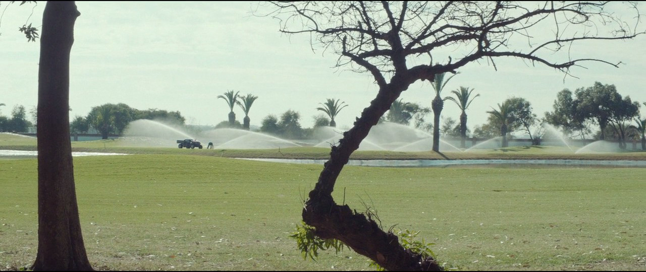 尼罗河的希尔顿事件剧照的剧照