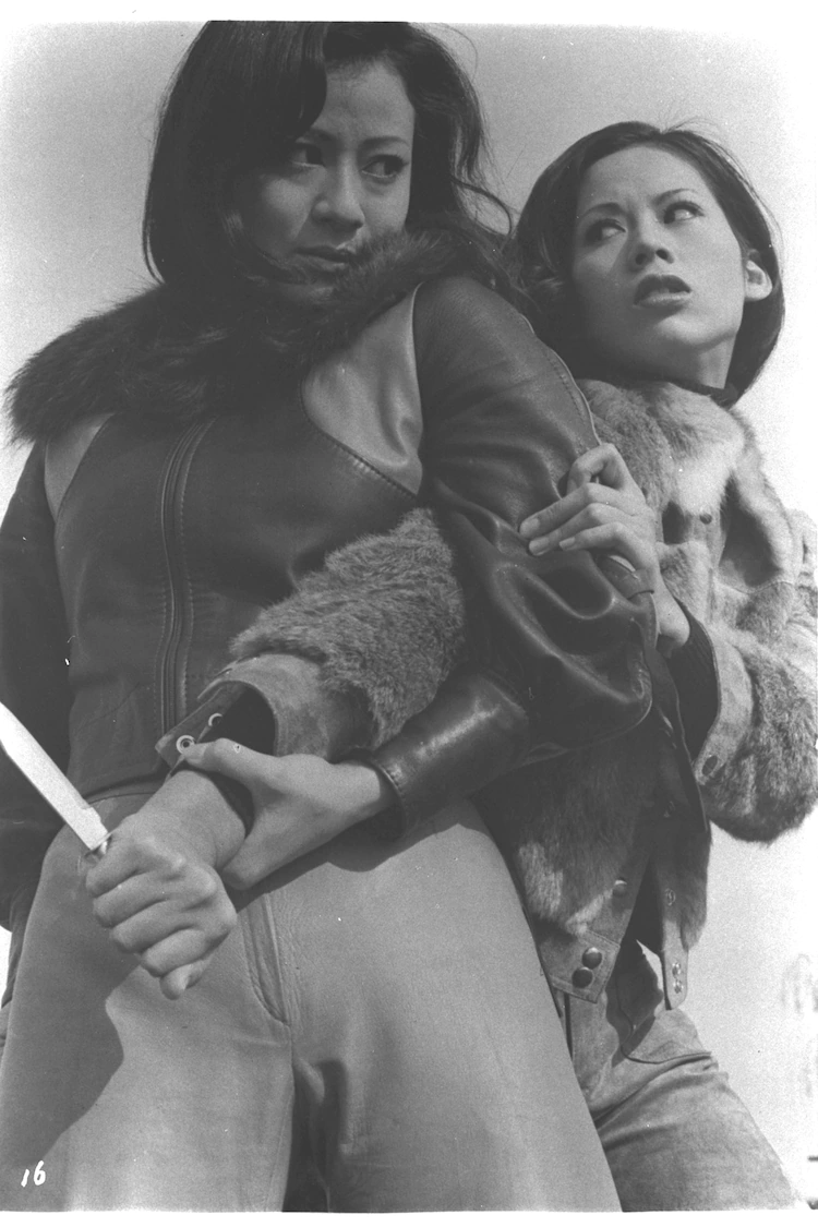 女番长：复仇剧照的剧照