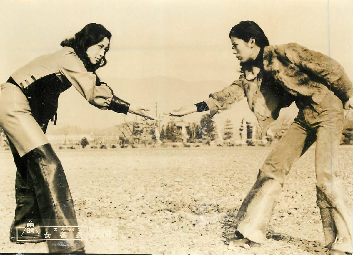 女番长：复仇剧照的剧照