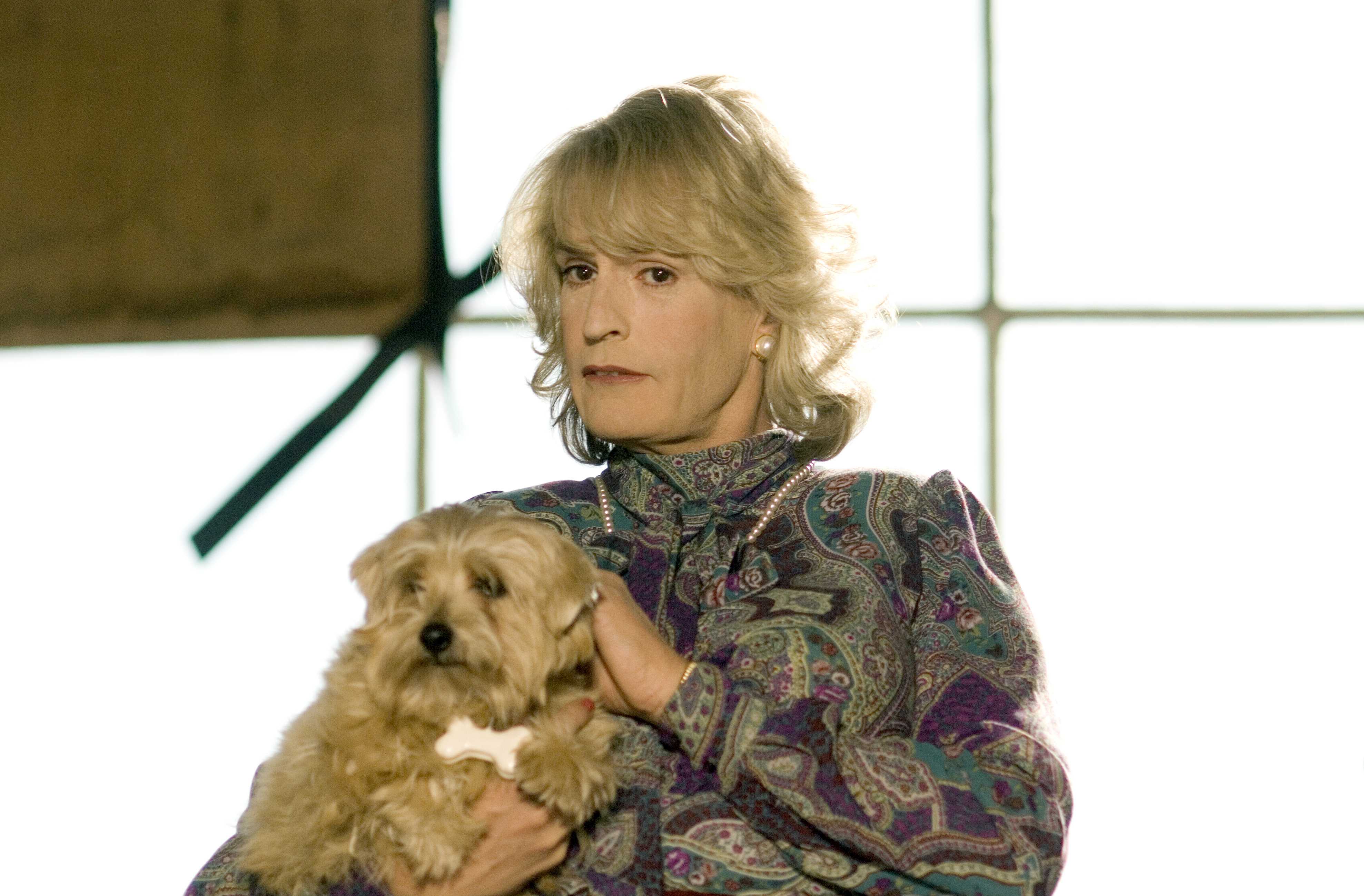 新乌龙女校剧照的剧照