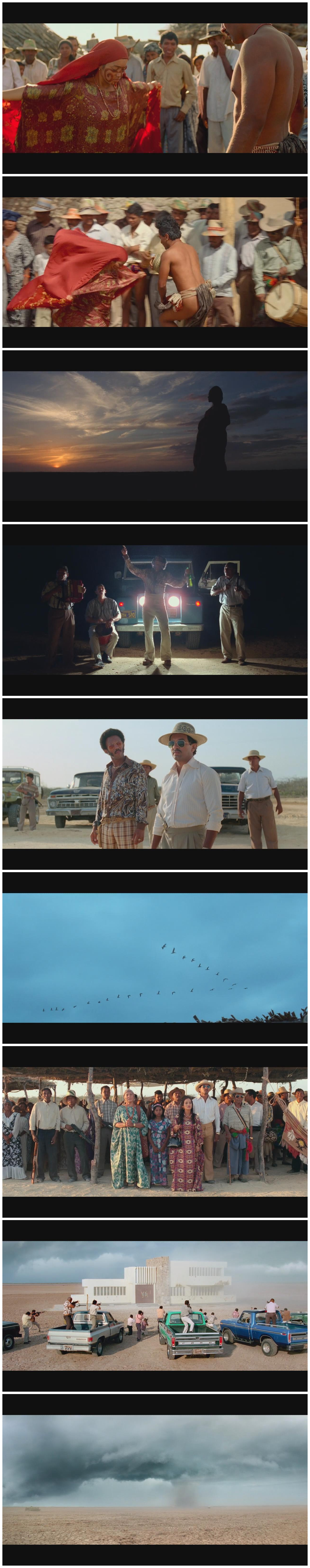 候鸟剧照的剧照