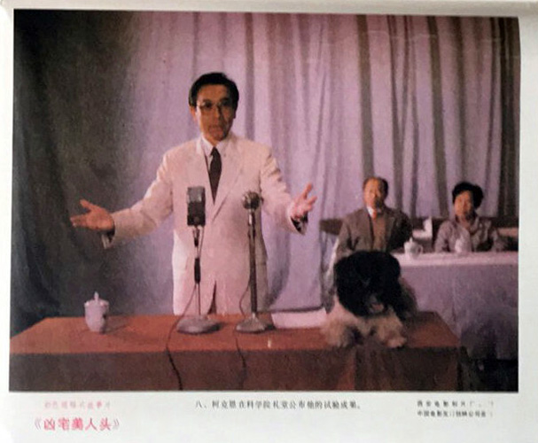 凶宅美人头剧照的剧照