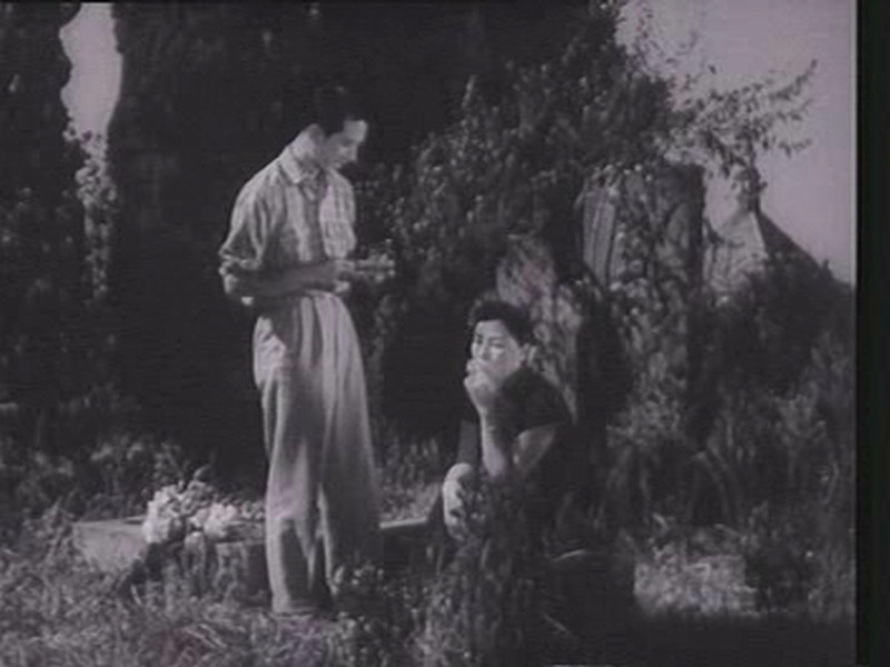 羊城暗哨剧照的剧照